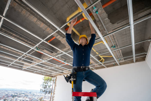 Best Clogged Drain Plumber  in Horizon West, FL