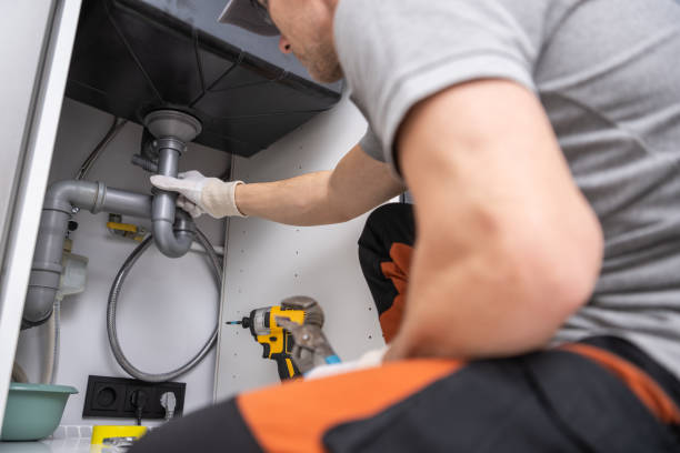 Best Septic Systems  in Horizon West, FL